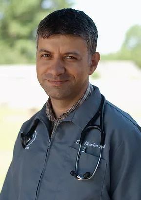 Dr. Nicolae Mut