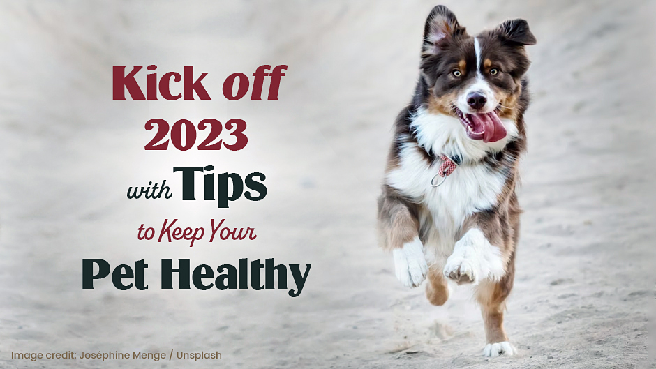 Kick-off 2023 with Tips to Keep Your Pet Healthy